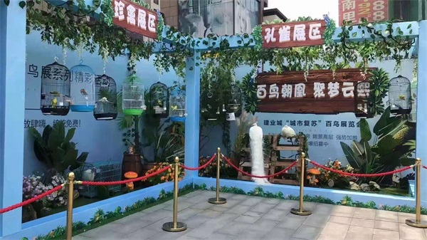 百鳥展覽