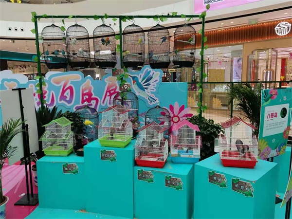 百鳥展覽