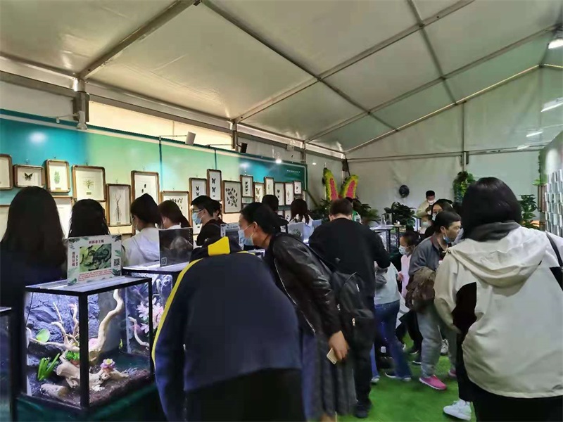 兩棲爬蟲展