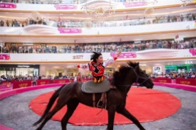 馬術(shù)表演