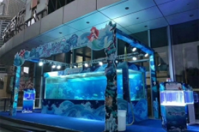 美人魚表演
