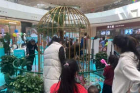 百鳥(niǎo)展覽