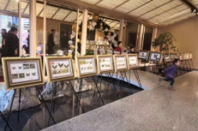 蝴蝶昆蟲展