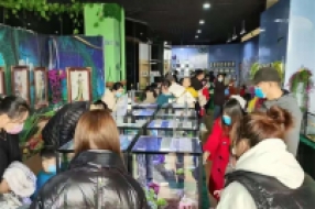 兩棲爬蟲展