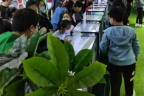 兩棲爬蟲展