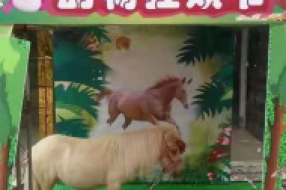 萌寵展覽