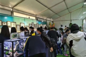 兩棲爬蟲展
