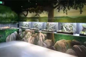 兩棲爬蟲展